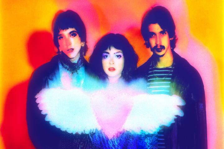 THE VELVETEERS image