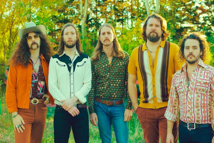 The Sheepdogs image